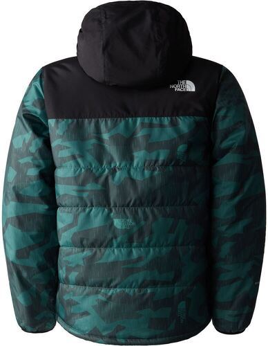 THE NORTH FACE-B Never Stop Synthetic Giacca-1