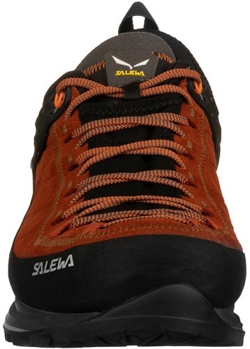 SALEWA-MS MTN TRAINER 2 Gore-Tex-1