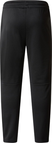 THE NORTH FACE-B NEVER STOP PANT-1