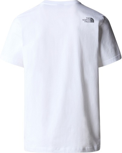 THE NORTH FACE-Mountain Line Tee-1