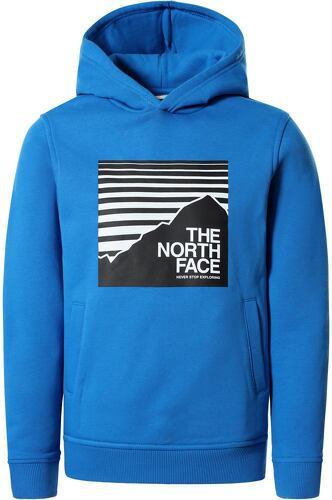THE NORTH FACE-Y BOX P/O HOODIE-image-1