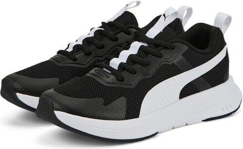 PUMA-Evolve Run Mesh-1