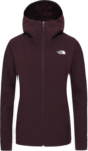 THE NORTH FACE-W SHELBE RASCHEL HOODIE-image-1