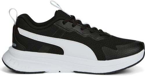 PUMA-Evolve Run Mesh-2