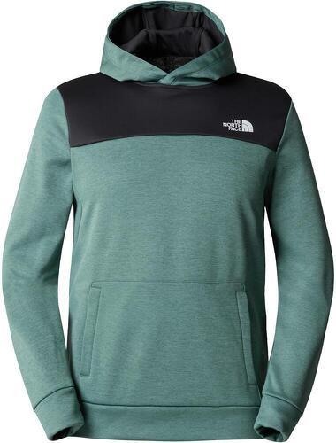 THE NORTH FACE-M REAXION FLEECE P/O HOODIE-image-1