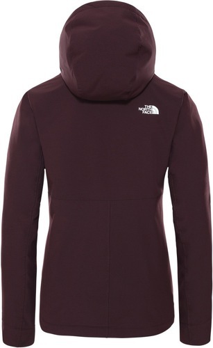 THE NORTH FACE-W SHELBE RASCHEL HOODIE-1