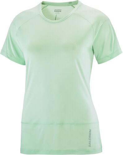 SALOMON-Cross Run Tee-2