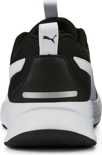 PUMA-Evolve Run Mesh-3