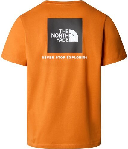 THE NORTH FACE-M S/S REDBOX TEE-1