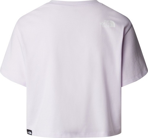 THE NORTH FACE-Cropped Simple Dome Tee-1