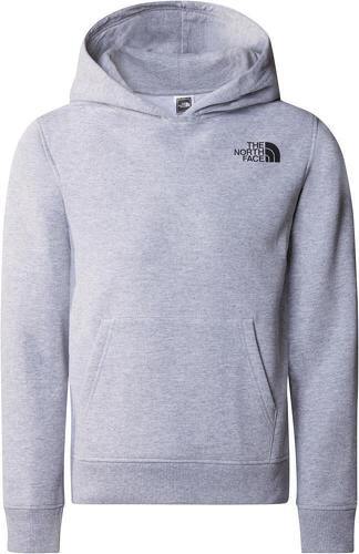 THE NORTH FACE-TEEN NEW GRAPHIC HOODIE-image-1