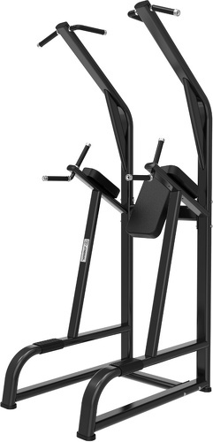 Titanium Strength-Chaise Romaine Power Tower-1