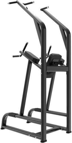 Titanium Strength-Chaise Romaine Power Tower-2