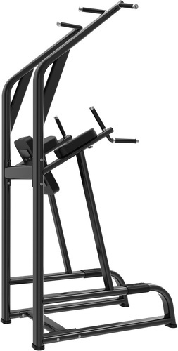 Titanium Strength-Chaise Romaine Power Tower-3