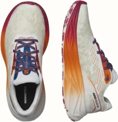 SALOMON-Aero Glide 2 ISD-2