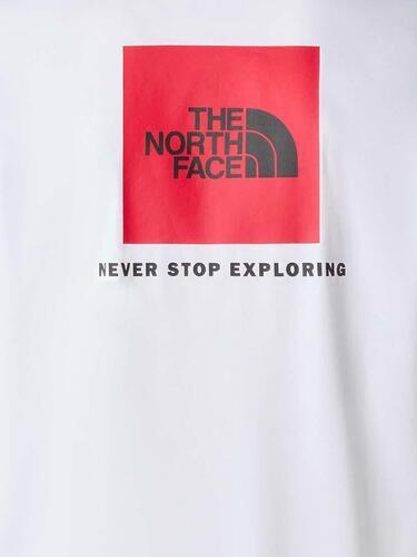 THE NORTH FACE-Redbox Tee-3