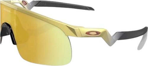 OAKLEY-Resistor-1