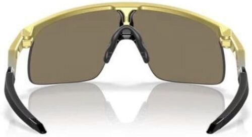 OAKLEY-Resistor-2