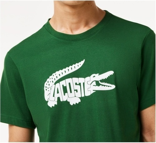 LACOSTE-T-Shirt Lacoste Core Performance-2