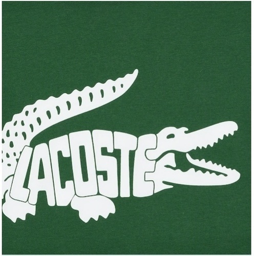 LACOSTE-T-Shirt Lacoste Core Performance-4