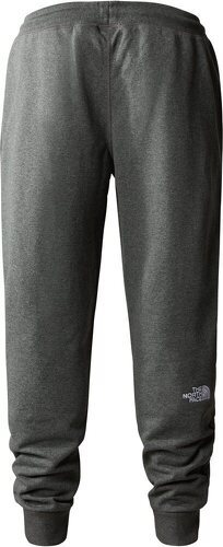 THE NORTH FACE-M NSE LIGHT PANT-1