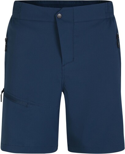 DARE 2B-Mens Torrek Pantaloncini-4