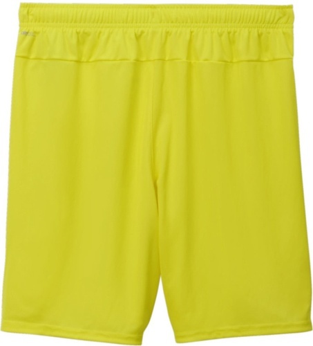 PUMA-teamGOAL Shorts-1