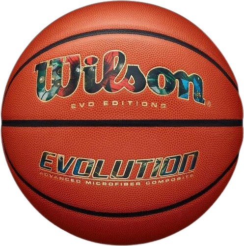 WILSON-Ballon de Basketball Wilson EVO Editions Nutmeg-image-1