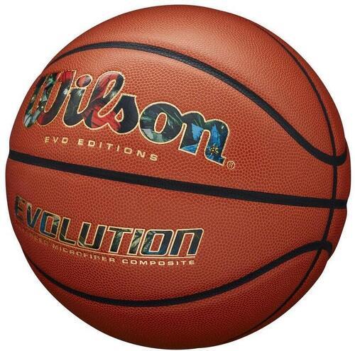 WILSON-Ballon de Basketball Wilson EVO Editions Nutmeg-2