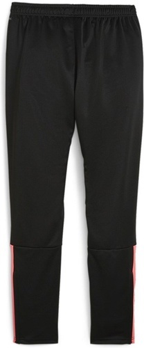 PUMA-teamLIGA Training Pants-1