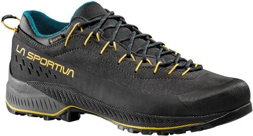 LA SPORTIVA-TX4 Evo Gore-Tex-1