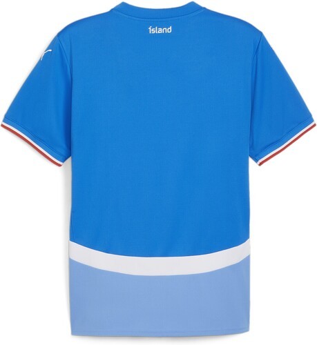 PUMA-Maillot de football Home 2024 Islande Homme-1