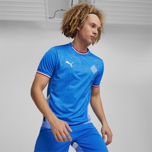 PUMA-Maillot de football Home 2024 Islande Homme-2