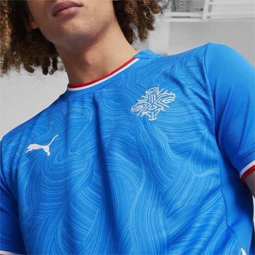 PUMA-Maillot de football Home 2024 Islande Homme-4