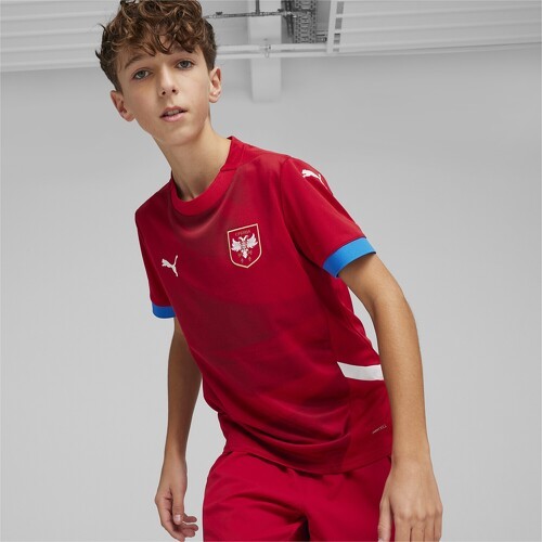 PUMA-Maillot De Football Home 2024 Serbie-2