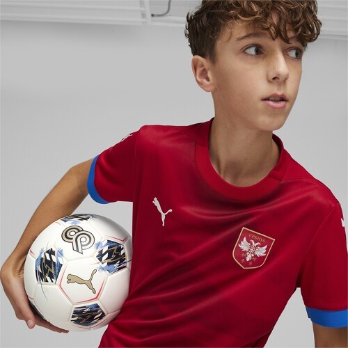 PUMA-Maillot De Football Home 2024 Serbie-3