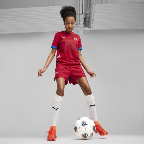 PUMA-Maillot De Football Home 2024 Serbie-4