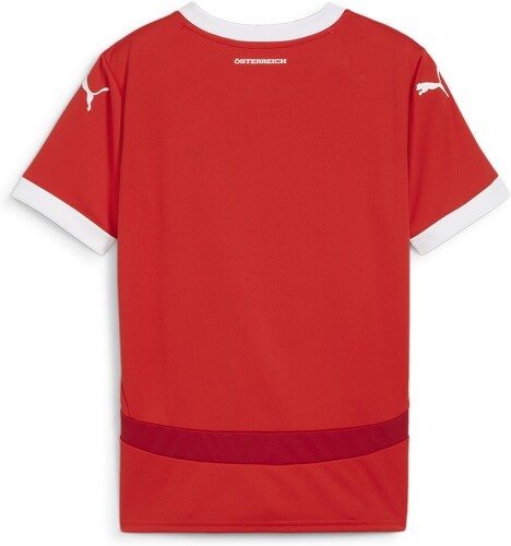 PUMA-Maillot De Football Home Autriche 2024-1