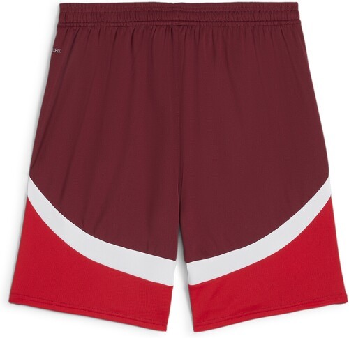 PUMA-Short De Football 2024 Suisse-1