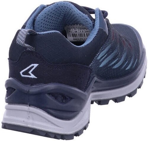 LOWA-Ferrox Gore-Tex Low-2