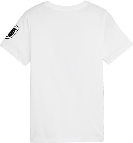 PUMA-Autriche Ftbl Icons T-Shirt-1