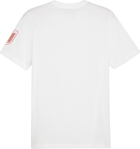 PUMA-Autriche Ftbl Icons t-shirt-1