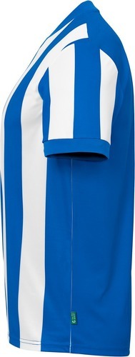 UHLSPORT-Maillot À Rayures Uhlsport Retro Stripe-3