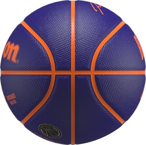 WILSON-Wilson Nba Player Icon Devin Booker Mini Ball-2