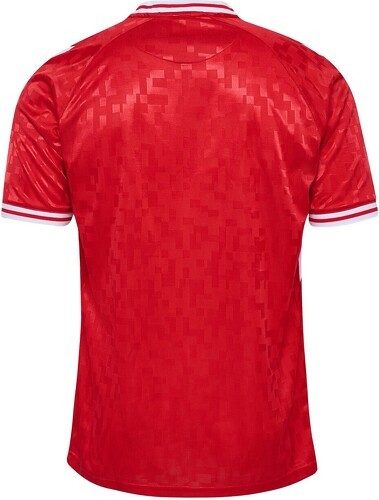 HUMMEL-Danemark Maillot Domicile 2024-1