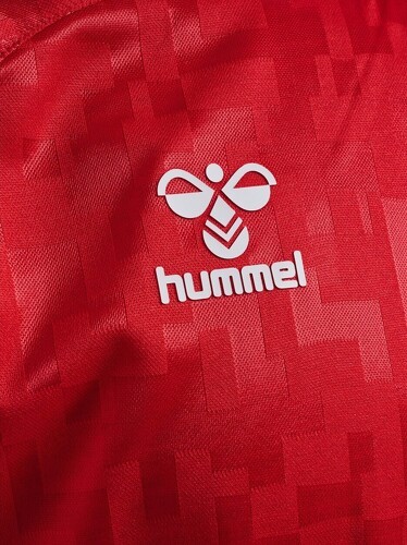 HUMMEL-Danemark Maillot Domicile 2024-3