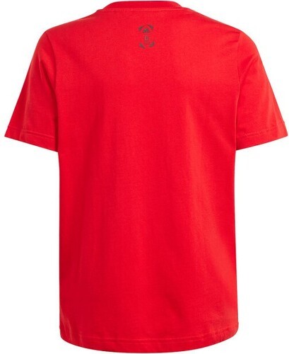 adidas Performance-T-shirt Espagne UEFA EURO24™-1