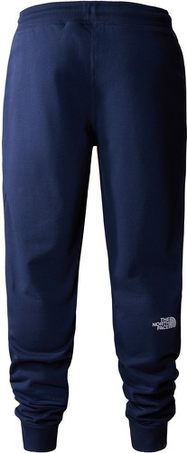 THE NORTH FACE-M Nse Light Pant-1