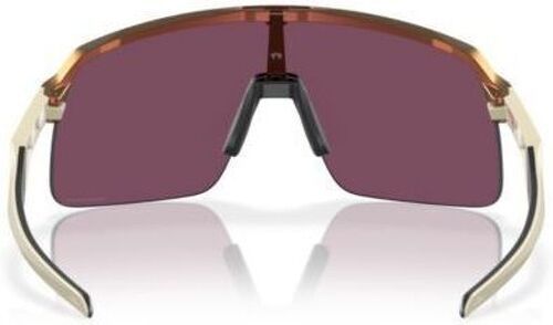 OAKLEY-Sutro Lite (Prizm )-2