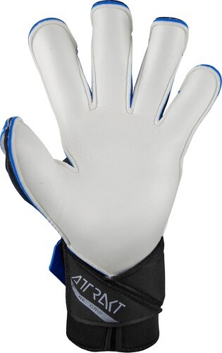 REUSCH-Reusch Attrakt Re:Grip-1